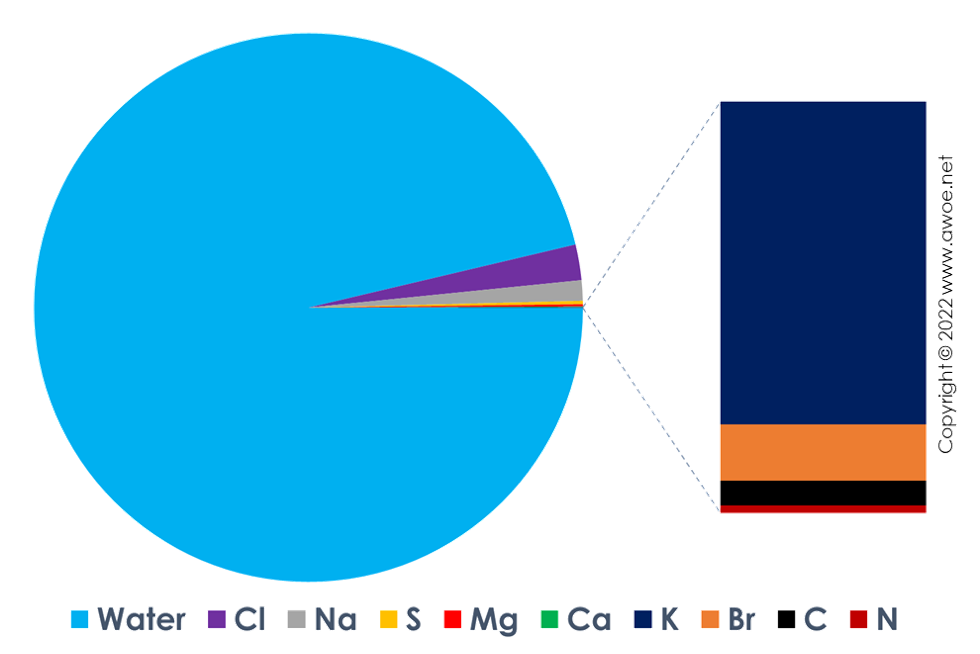 Average seawater composition